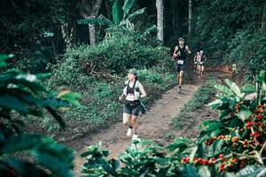 BIB: 
                            <button type="button" onclick="openModal(25796863)" class="btn btn-primary btn-sm float-right btn-popup" data-toggle="modal" data-target=".modal-high-quality">
                        <i class="fas fa-shopping-cart"></i> Add to Cart
                    </button>
                                            <button type="button" onclick="isThisMe(25796863, true)" class="btn btn-success btn-sm float-right btn-popup btn-isme hidden" data-toggle="tooltip" data-placement="bottom" title="นี่คือรูปของคุณใช่ไหม คลิกที่นี่เพื่อเอาเข้าอัลบั้ม">
                        <i class="fas fa-plus"></i> Add to album
                    </button>
                    <button type="button" onclick="isThisMe(25796863, false)" class="btn btn-warning btn-sm float-right btn-popup btn-isnotme hidden">
                        <i class="fas fa-ban"></i> Remove from album
                    </button>